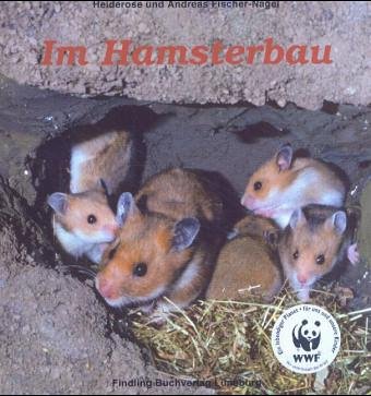 Im Hamsterbau